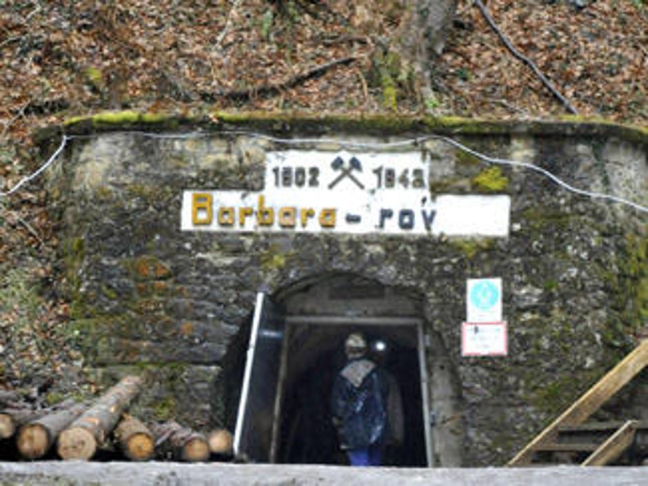 Vhod v rov Barbara, kjer so našli prikrito grobišče povojnih pobojev | Avtor: Žurnal24 main