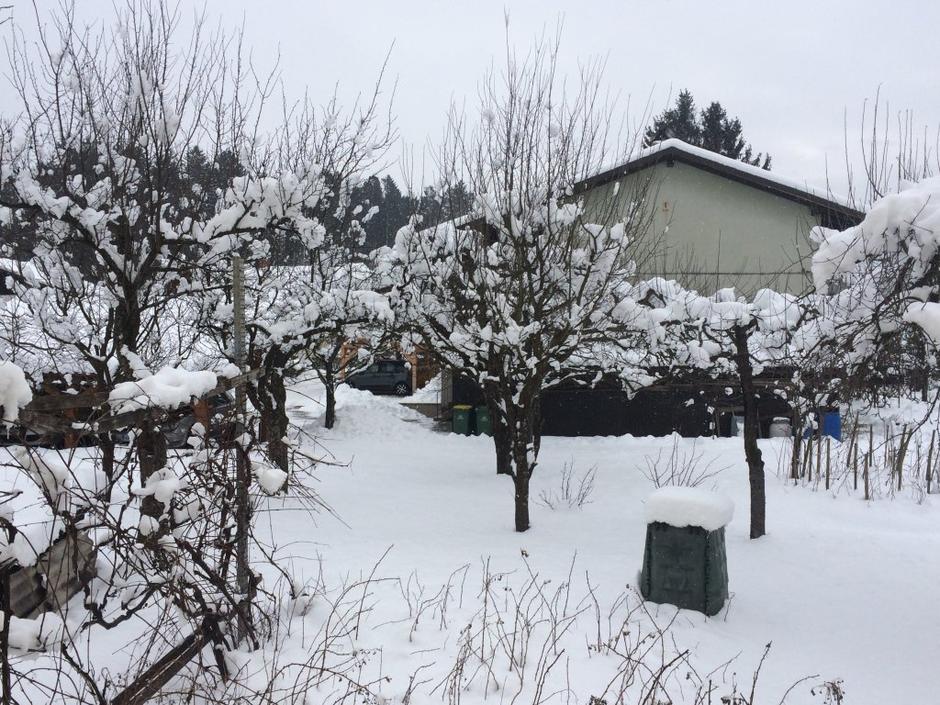 Novo sneženje na Gorenjskem | Avtor: Žurnal24 main