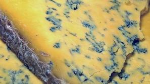 Plesen na siru je gurmanski užitek, vendar ne na mocareli.