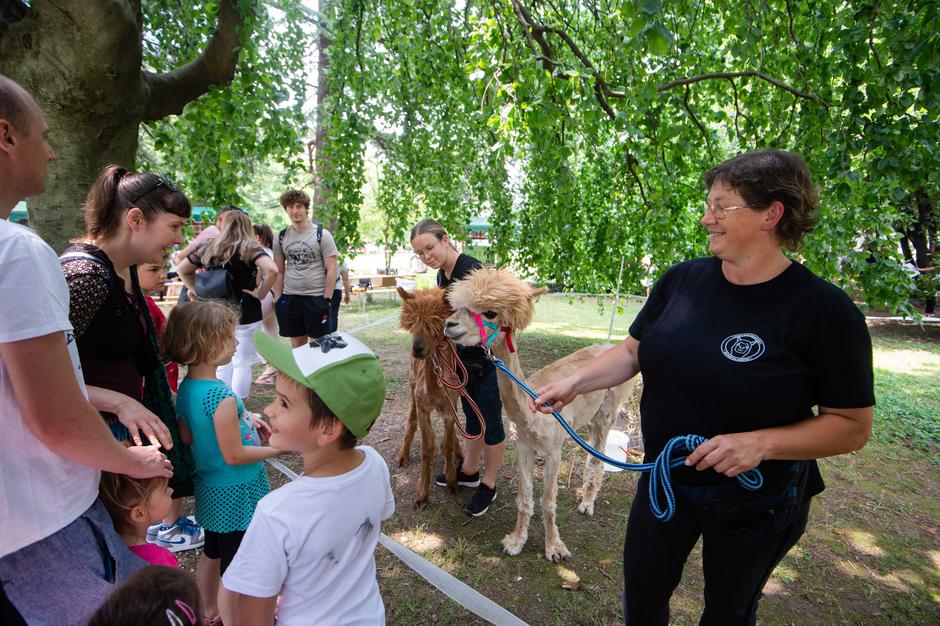 Festival za ljubitelje živali | Avtor: Anže Petkovšek
