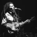 Bob Marley je umrl za rakom pri 36 letih. (Foto: Wikipedia)