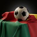 Kamerun zastava žoga