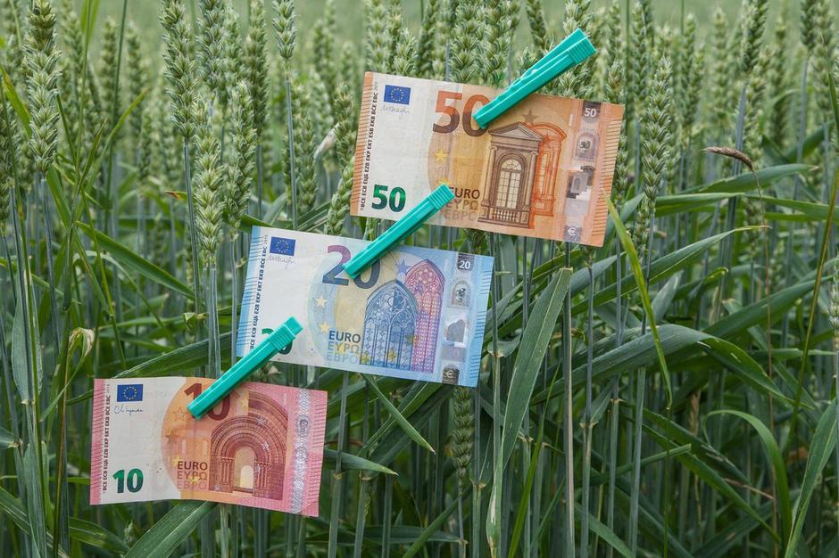 denar bankovci evro zeleni prehod | Avtor: Profimedia
