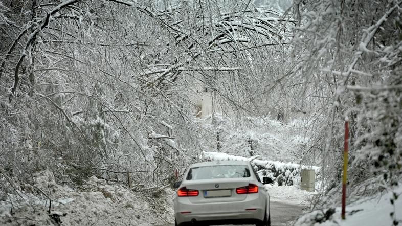 slovenija 04.02.14, sneg, led, zled, lom dreves, zasnezena cesta, nevarno vozisc
