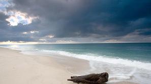 Peščeno plažo Coopers Beach si poglejte tudi v zavihku video.