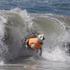 Unleashed Surf City Surf Dog