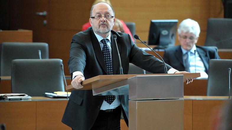 Zmago Jelinčič trdi, da njegove izjave niso bile žaljive. (Foto: Anže Petkovšek)