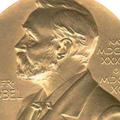 Nobelovo nagrado si lahko razdelijo največ trije nagrajenci.