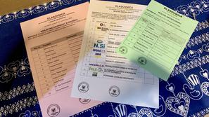 glasovnica, Kranj, lokalne volitve, logotip stranke
