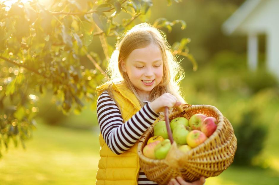Otrok, hrana, sadje, vitamini | Avtor: Profimedia
