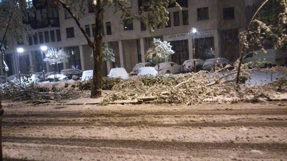 Sneg in polomljene veje na Vojkovi cesti v Ljubljani