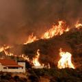 Zaradi poletne vročine je Grčija v požarih utrpela hude izgube.