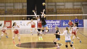 Calcit Volleyball Nova KBM Branik
