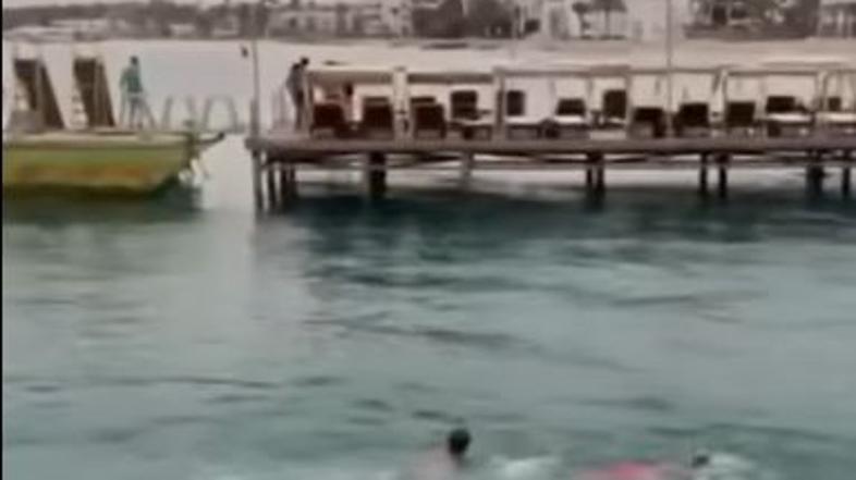 Napad morskega psa v Egiptu