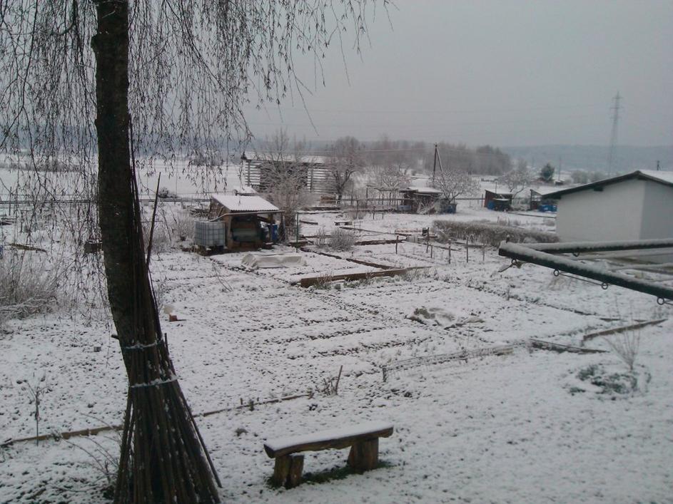 Novozapadli sneg v Kamniku