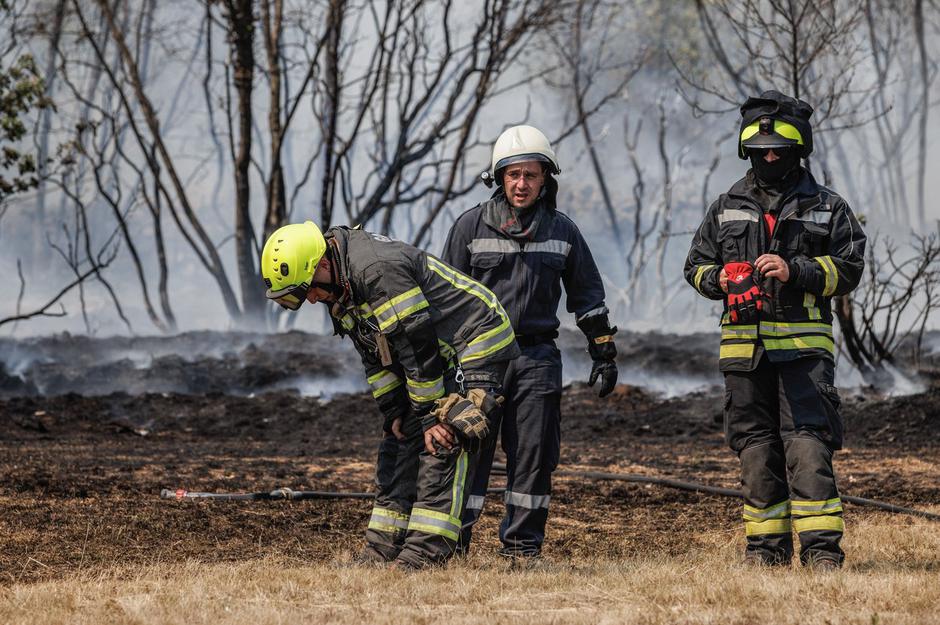 gasilci požar Kras | Avtor: Profimedia
