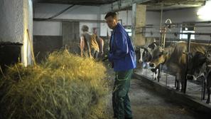 Pahor na kmetiji