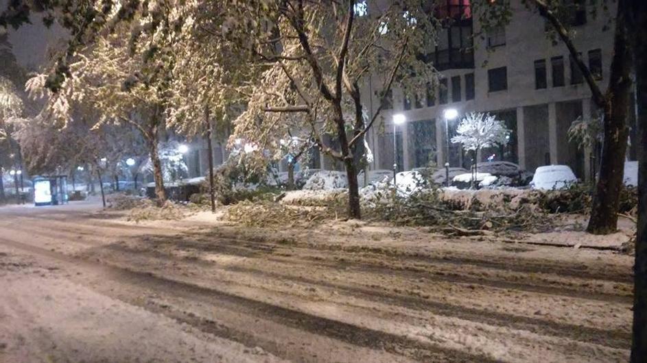 Sneg in polomljene veje na Vojkovi cesti v Ljubljani