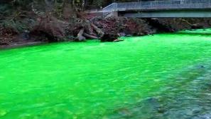 Reka je čez noč postala živo zelene barve. (Foto: Youtube)