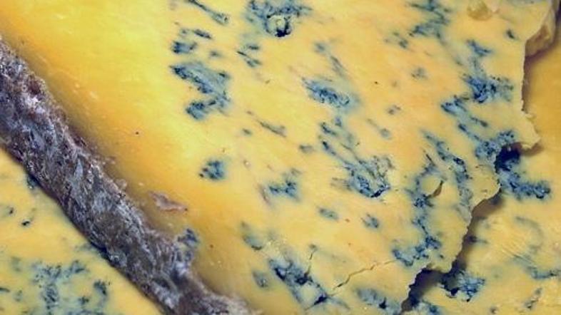 Plesen na siru je gurmanski užitek, vendar ne na mocareli.