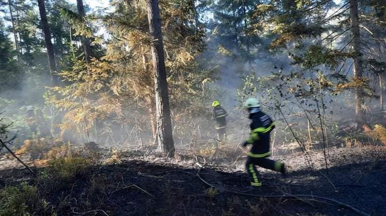 Gašenje požara v gozdu v naselju Voglje, občina Šenčur