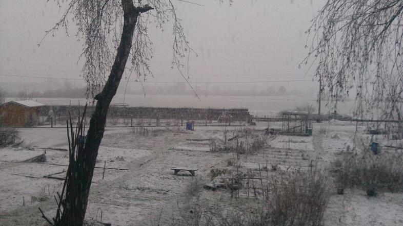 sneg, sneženje v Kamniku