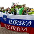 Slovenski navijači
