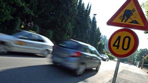 Hitrost na Večni poti omejijo tudi zaradi prehoda žab, pravijo na MOL. (Foto: Sa