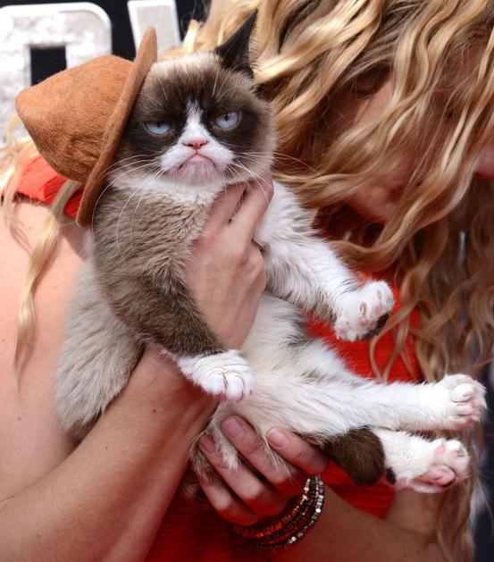 Grumy cat je bila zvezda MTV-jevih filmskih nagrad.