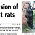 Britanski tabloid je poleg zgodbe objavil tudi fotografije ubite živali. (Foto: 
