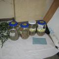 Pri preiskavi so pri Mariborčanu našli marihuano