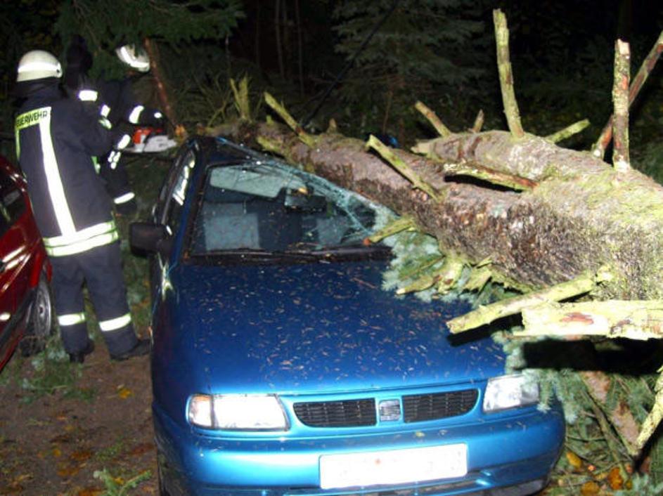 neurje_nemcija_afp01032008t