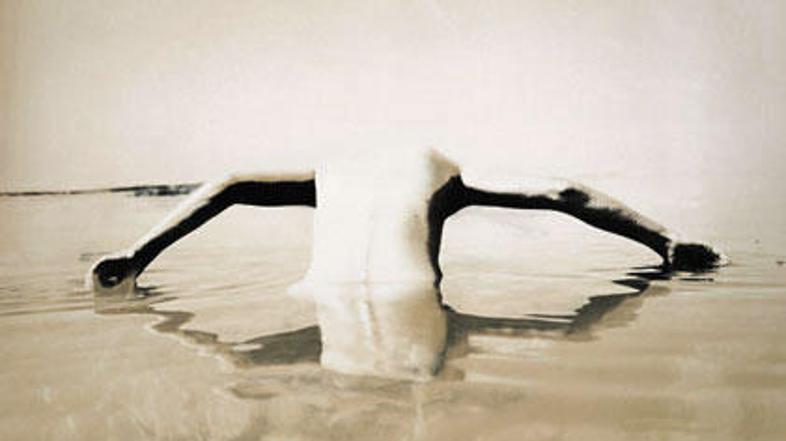 Pivkova fotografija V belino bi zaplaval. (Foto: Osebni arhiv)