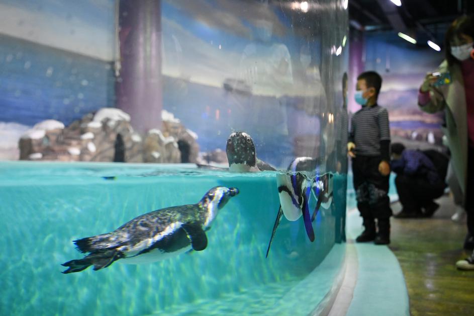 Harbin, Kitajska: Polarni park