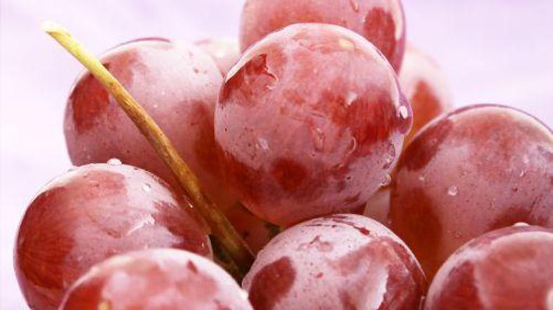 Najbolj zdravo je temno.