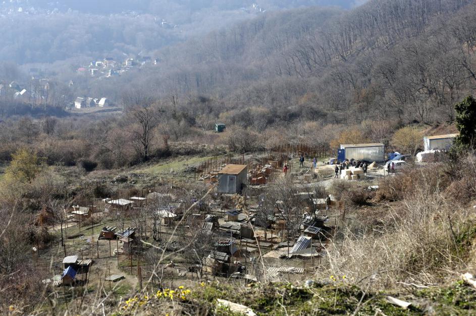 Zavetišče za potepuške pse iz Sočija.