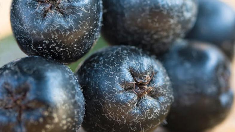 Svež sadež vsebuje veliko arome, a ima grenko-kiselkast okus.