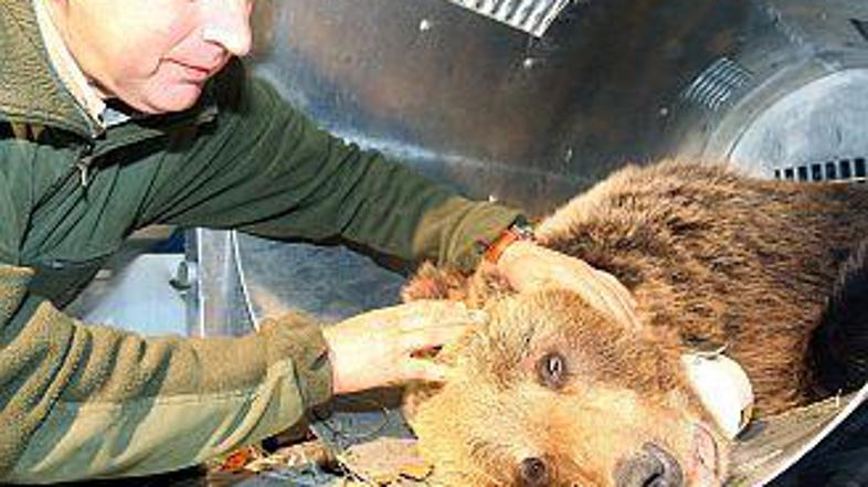 Lovci se bojijo, da namerava država uvesti zasebna lovišča.