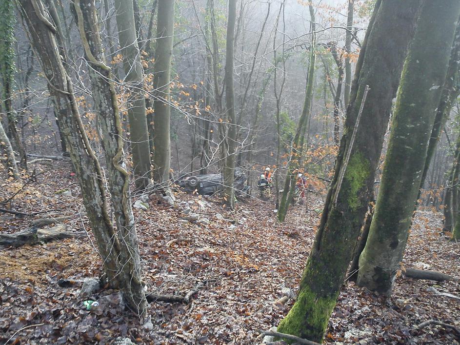 prometna nesreča, gozd, avto zletel s ceste