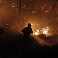 Portugalski gasilci se borijo z obsežnimi požari.
