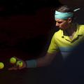 Rafael Nadal je v zadnjih 12 mesecih pokazal, da je dober na različnih podlagah.