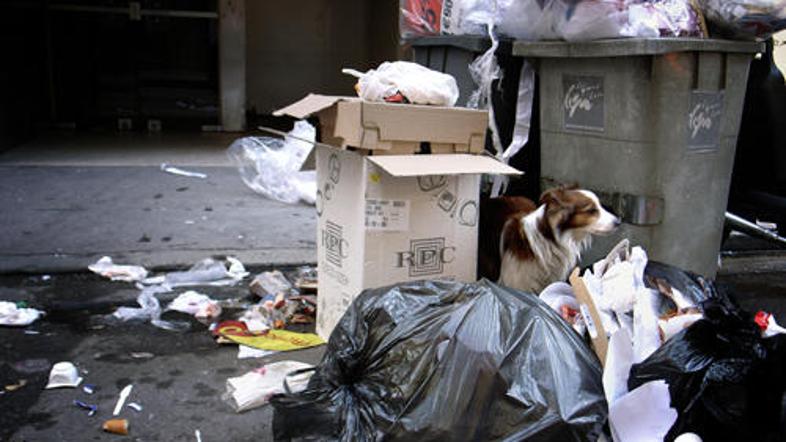 Vse odločitve morajo biti sprejete soglasno, preglasovanja med lastnicami ni, pr