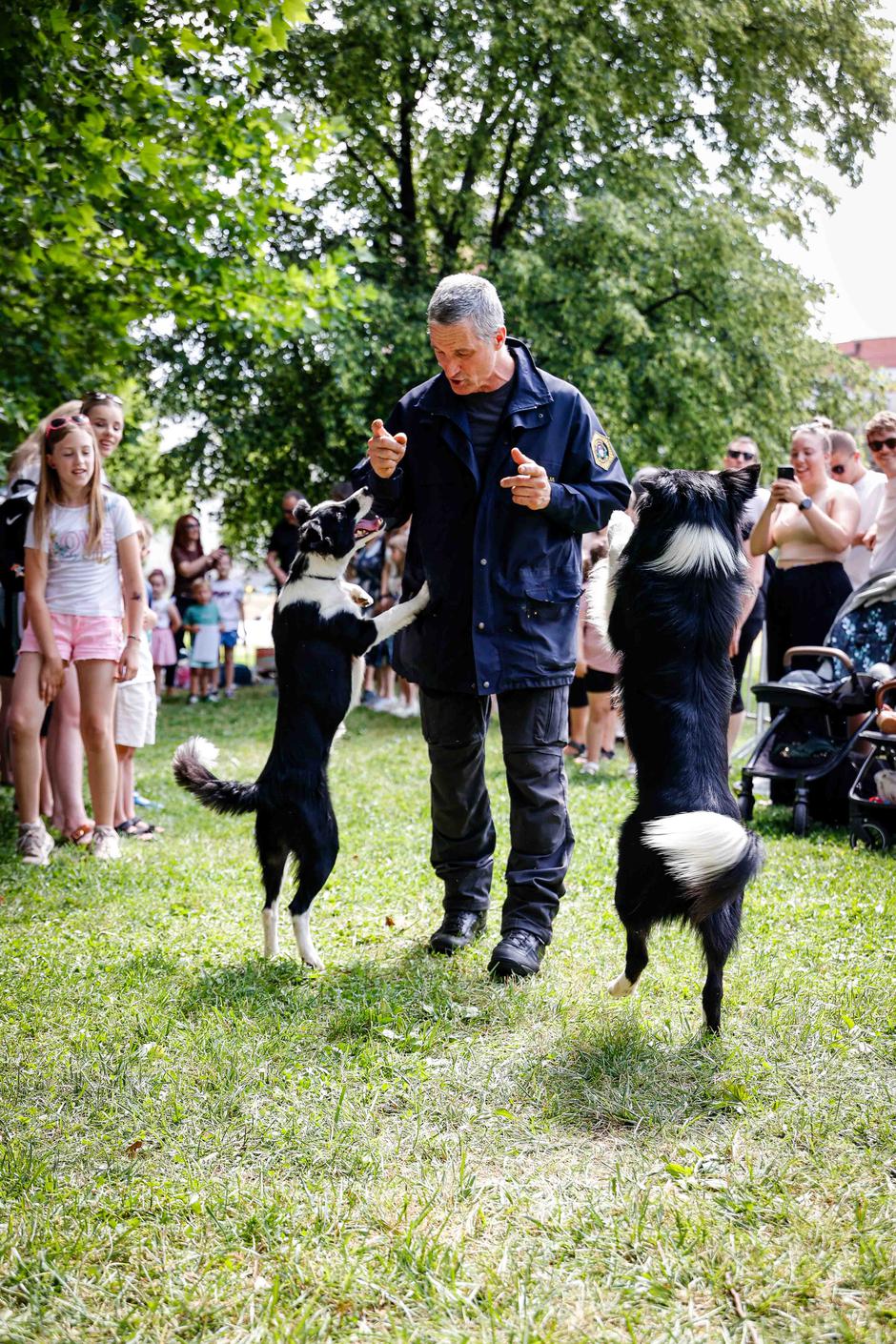 Festival za ljubitelje živali 2026 | Avtor: Saša Despot