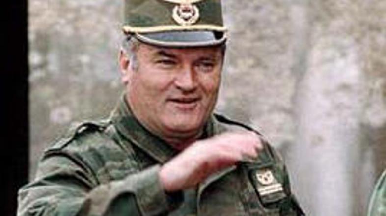 mladic_t_3010