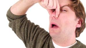 Josejevi prdci so napadli policiste.