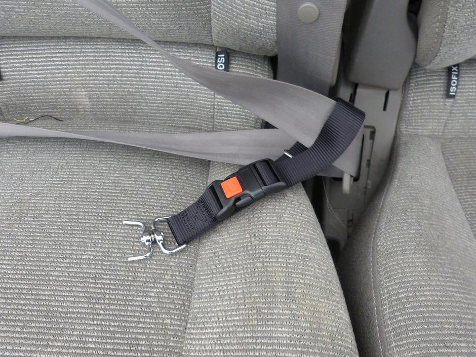 Prevoz psa AMZS test | Avtor: AMZS