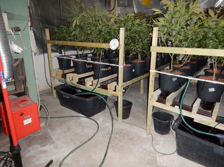 Zaseg drog v Ljubljani