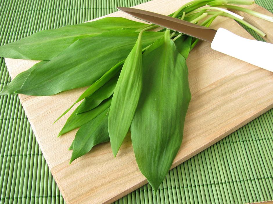 čemaž | Avtor: Shutterstock