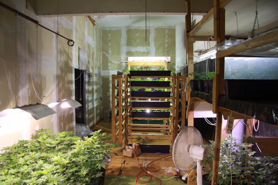 Laboratorij za konopljo