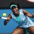 op avstralije venus williams